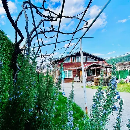 Vila маца Sapareva Banja