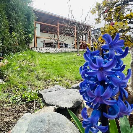 маца Sapareva Banja