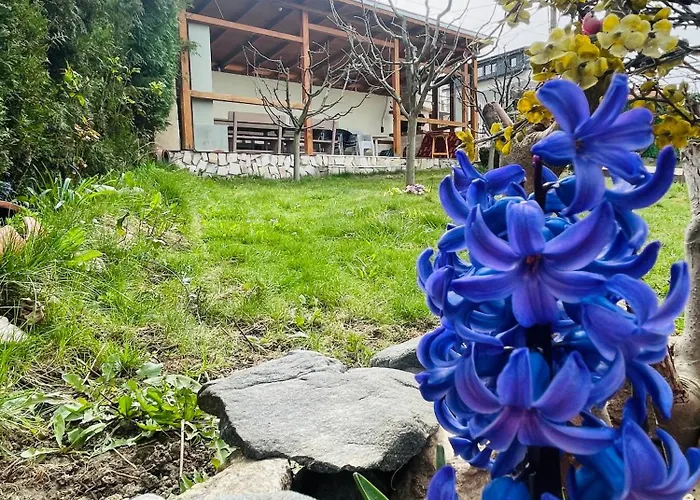 маца Сапарева-Баня